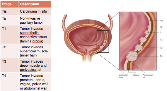 Screen shot 2013-04-30 at 6.28.39 PM