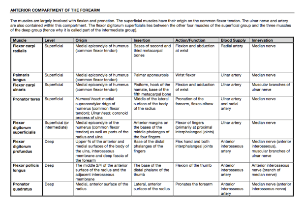 Screen Shot 2016-08-10 at 12.20.38 PM