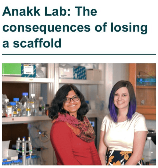 Screen Shot 2019-02-03 at 4.05.35 PM