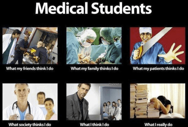 Med Students.png